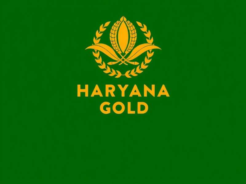Haryana Gold Showroom Interior